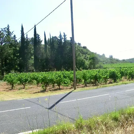 Charlrose At La Platriere Cazedarnes